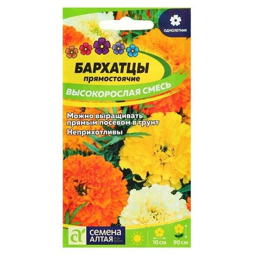 ������ ������ ������ ������ �������� 