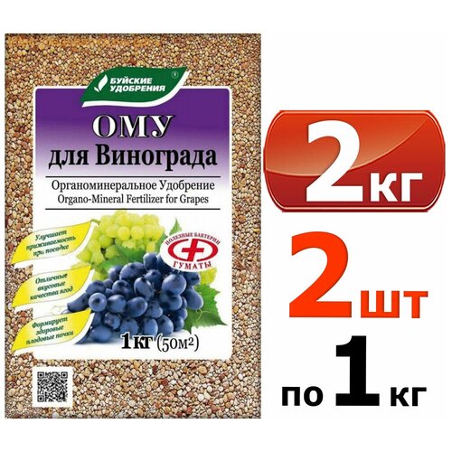 ������ ������ ��� 