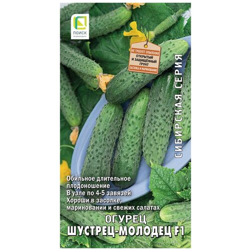 ������ ������ ������ ����� ��������� ����� ������ �������-������� F1 12 �� ����