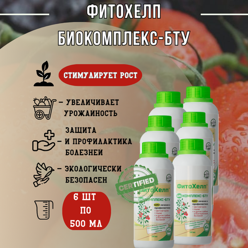 ������ ������ �������� �����������-��� 500 ��, 6 �� ����