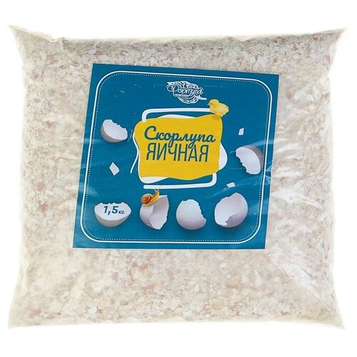 ������ ������ �������� ������, 1.5 �� ����