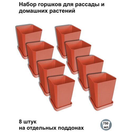 ������ ������ ������ ��� ������� � ������, 8 ���� �� ��������� ��������, �������� ����