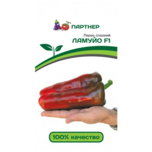 ������ ������ ������ ����� ������� 