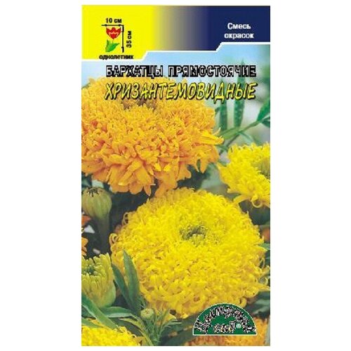 ������ ������ ������ �������� ��� 