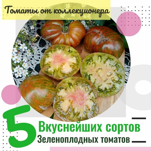 ������ ������ ������ �������, 5 ������ ������������� �������, ������ �� �������������, 50 ����� ����