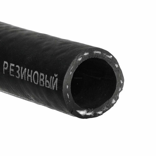 ������ ������ ����� ���������� ��������� ������������ ����� 32 �� 25 ������ ����