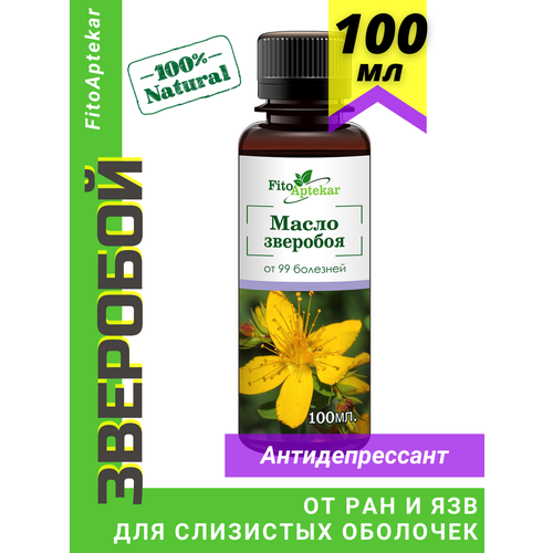 ������ ������ ����� �������� 