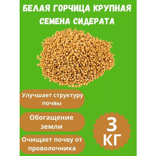 ������ ������ ������ ������� ������� 3 �� ����