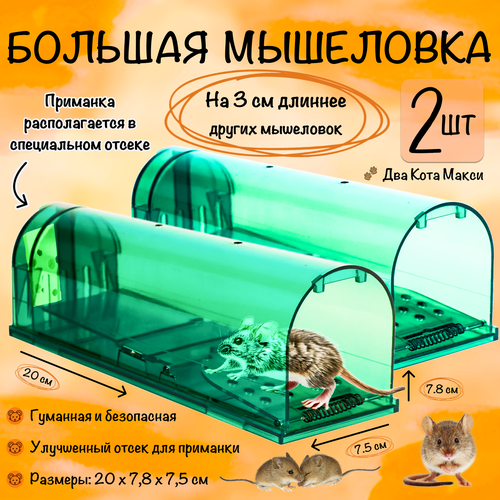 ������ ������ ��������� ������ ��������, ������� ������� ��� �����, ��������, ��� ����, ������� �������, �������, 2 ����� ����