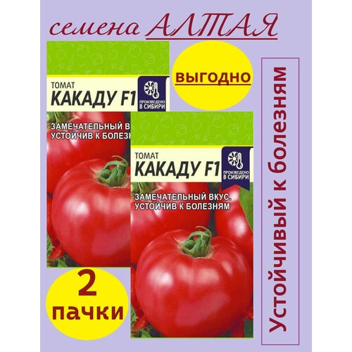 ������ ������ ������ ����� ������ ������ ����� (2 ��������* 15 �� �����) ����