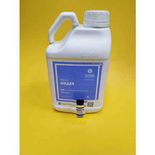 ������ ������ �������� ����� �� ����� �� ������ � ��������� 10 �� ����