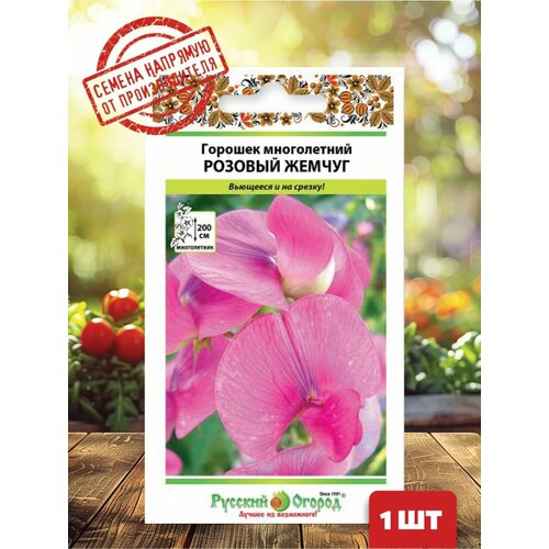 ������ ������ ������ �������� ������� �������� ������� ������ ����