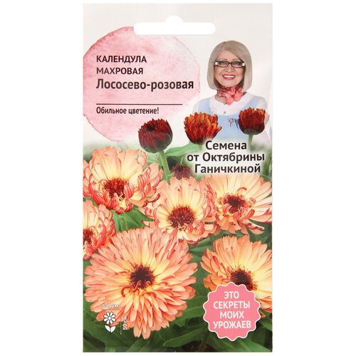 ������ ������ ��������� ��������-������� �������� 0,3 � / ������ ���������� ������ ��� ���� ����