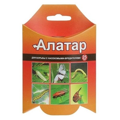 ������ ������ �������� �� ���������� ������� ������� ������, 25 �� ����