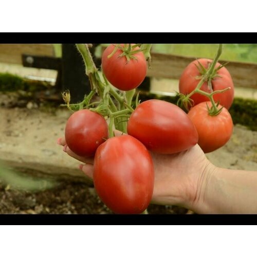 ������ ������ ������������� ������ ������ ���������� �������� ������ ����