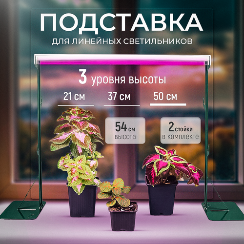 ������ ������ ��������� ��� ���������, 2� ��������� ��������� ��� ��������� 54 �� ����