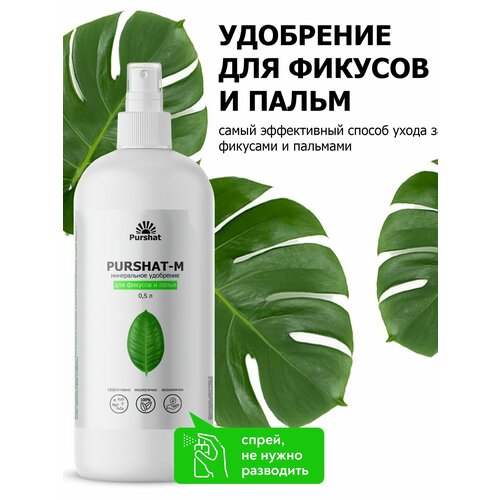 ������ ������ ��������� ��� �������, ����� ����� ������ 500 �� ����