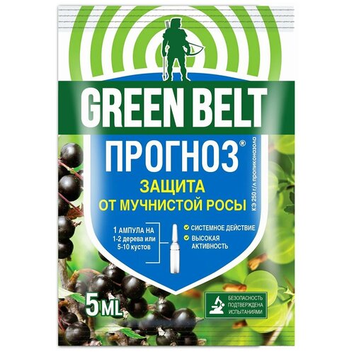   Green Belt       , 5 , 12  