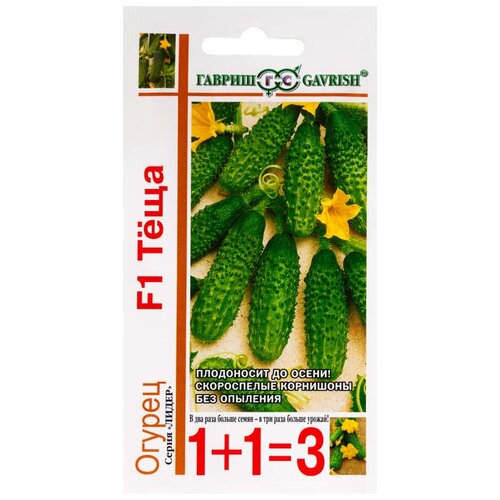 ������ ������ ������ ������ 