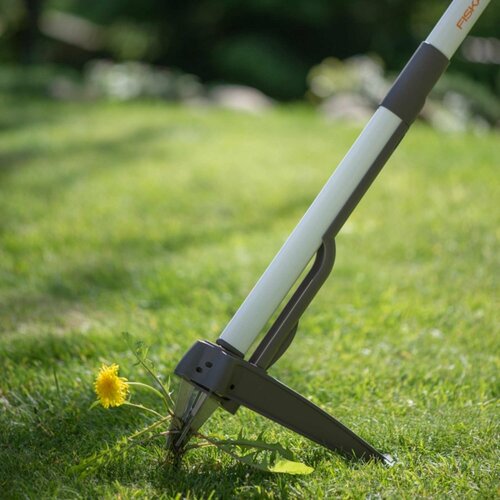 ������ ������ �������� ������ ����������� ����� ������ �������� � ����� �������TM/����� ������� ��������� ����