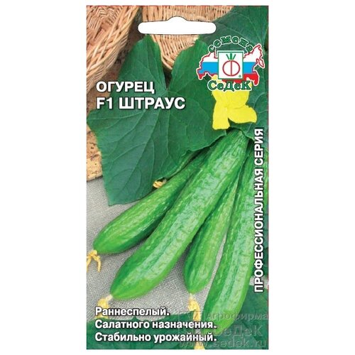 ������ ������ ������ ������ 