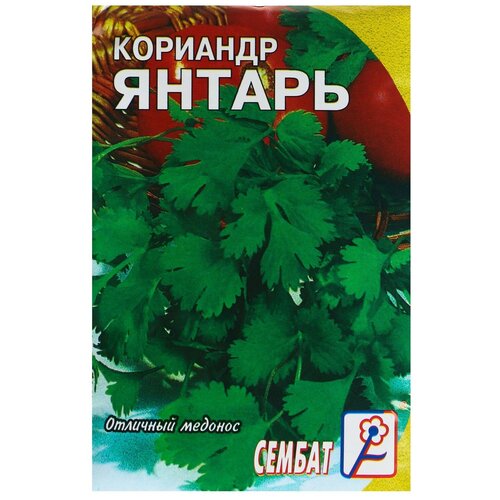 ������ ������ ������ �������� 