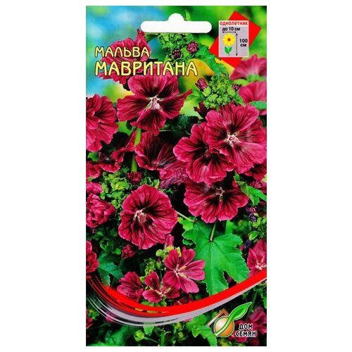 ������ ������ ������ ����������� ���������, 18 ����� ����