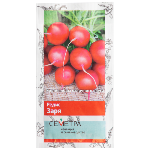 ������ ������ ������ ����� �������, ����� ����, 3� ����