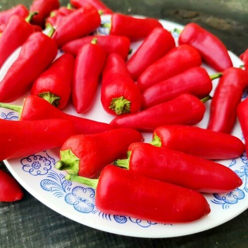 ������ ������ ����������� ����� ������� ������ + ������� ����