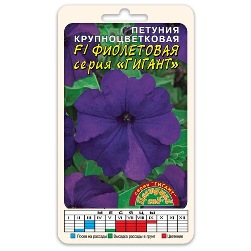 ������ ������ ����� ������� ��������������� ������ ���������� F1 (������ �������� ��� 10 ��. � ������) ����