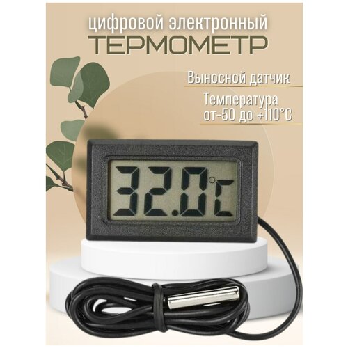 ������ ������ �������� ����������� ��������� ����