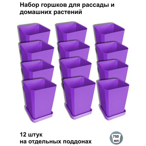 ������ ������ ������ ��� ������� � ������, 12 ���� �� ��������� ��������, ���������� ����