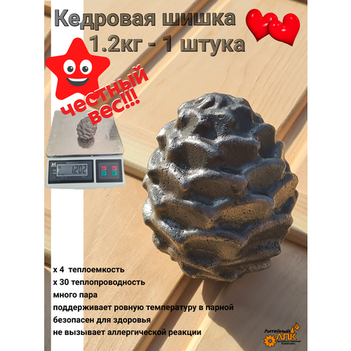 ������ ������ ����� �������� ����