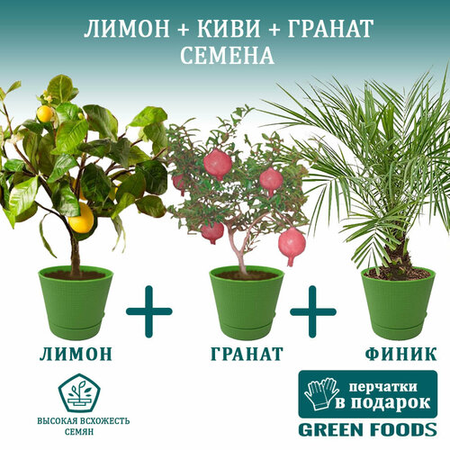 ������ ������ �������� ����� ������ + ������ + ��������� ������ ������ ����