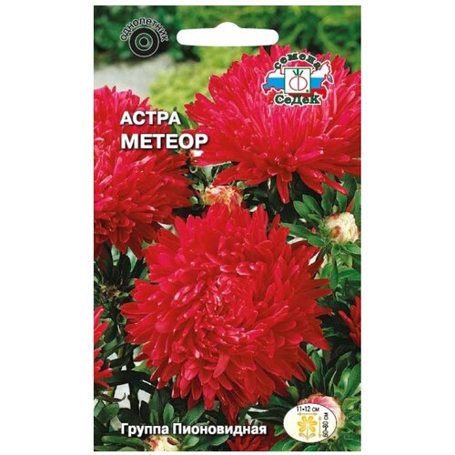 ������ ������ ������ ����� ����� ������ ����