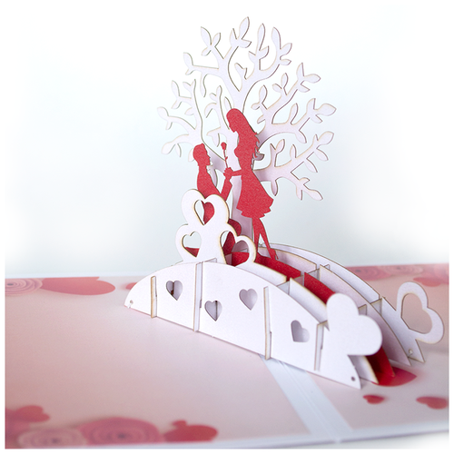 ������ ������ �������� 3D �������� ����������� ���� ����