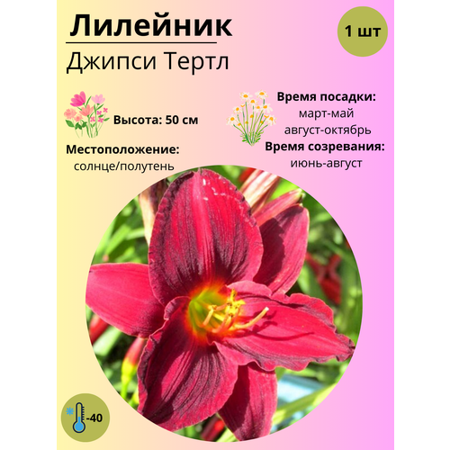 ������ ������ �������� ������ �����, ����������� ����� / ������ 1 �� ����