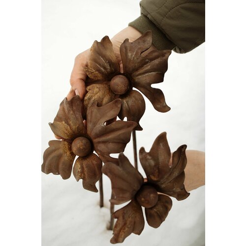 ������ ������ ������� ����� �� ������ ����� ������� ������ ����