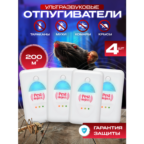 ������ ������ ������������ ����� �������������� ����