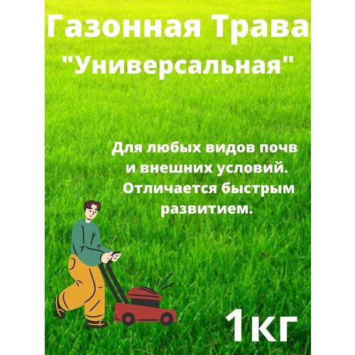 ������ ������ �������� ����� 