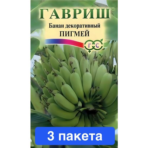 ������ ������ ����� ����� ������������ ������ 3 ������ ����