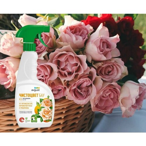 ������ ������ ���������*��� �������� ����������������� � ��������� �������� ��� ������ ��������, 700 �� ����