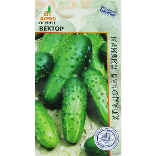 ������ ������ ������ ������ ������ 10�� �� ������ (�����) ����