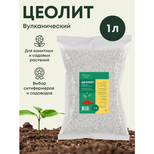 ������ ������ ��������������� ������ 1� ����