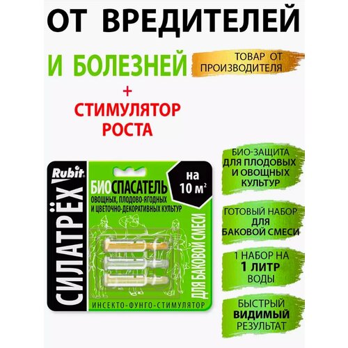 ������ ������ �������� ������ �������� ����