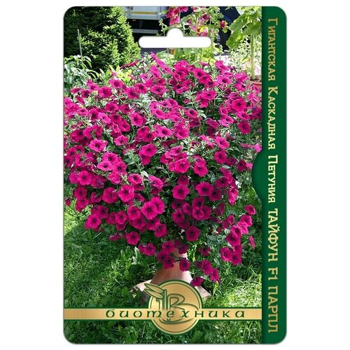 ������ ������ ������ ������� ���������� ��������� 