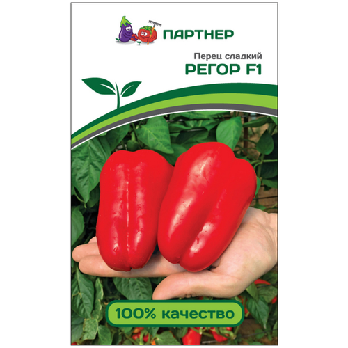 ������ ������ ������ ����� ������� 