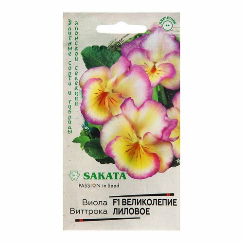 ������ ������ ������ ����� 