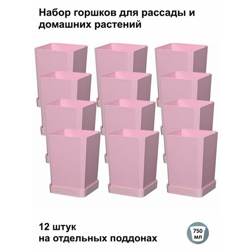 ������ ������ ������ ��� ������� � ������, 12 ���� �� ��������� ��������, ������� ���� ����