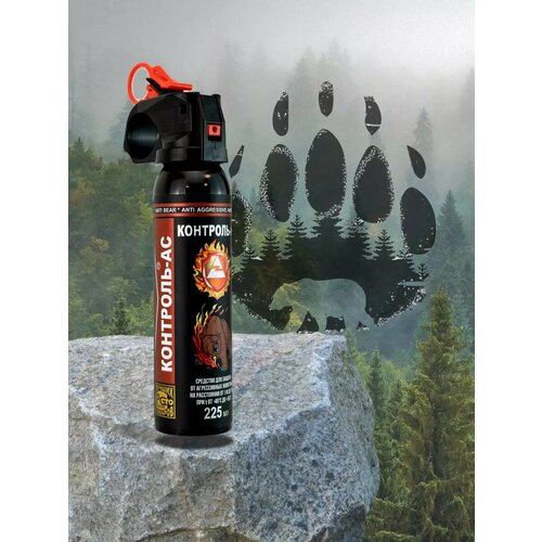 ������ ������ ������������ 